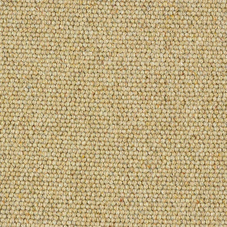 Charter Berber Loop Honey Gold Carpet - Honey Gold / 2.5m