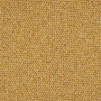 Charter Berber Loop Mustard Carpet - Mustard / 2.5m