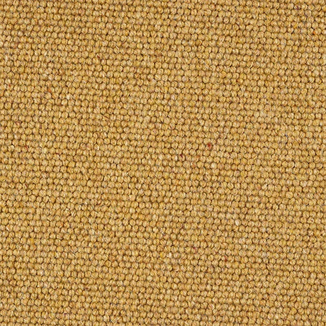 Charter Berber Loop Mustard Carpet - Mustard / 2.5m