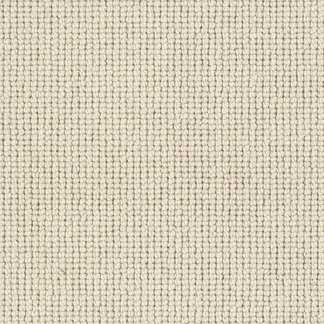Charter Plain Loop Drysdale Carpet - Drysdale / 2.5m