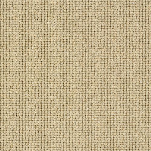 Charter Plain Loop Montadale Carpet - Montadale / 2.5m