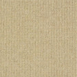 Charter Plain Loop Montadale Carpet - Montadale / 2.5m