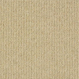 Charter Plain Loop Montadale Carpet - Montadale / 2.5m