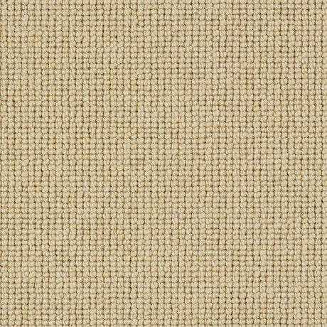 Charter Plain Loop Montadale Carpet - Montadale / 2.5m