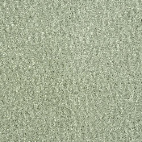 Pure Elegance Putting Green Carpet - Putting Green / 2.5m