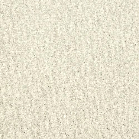Pure Elegance Cloudy Dreams Carpet - Cloudy Dreams / 2.5m