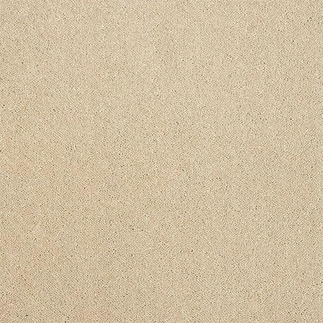 Pure Elegance Linen Wash Carpet - Linen Wash / 2.5m
