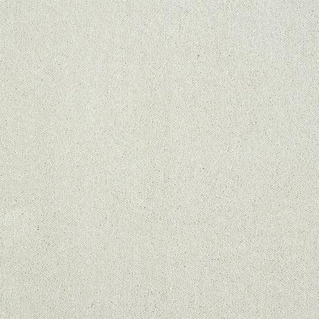 Pure Elegance Nimbus Cloud Carpet - Nimbus Cloud / 2.5m