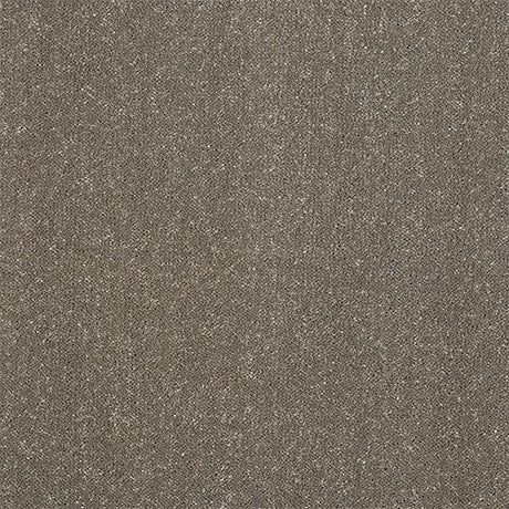 Pure Elegance Seneca Rock Carpet - Seneca Rock / 2.5m