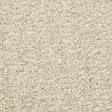 Pure Elegance Turtle Dove Carpet - Turtle Dove / 2.5m