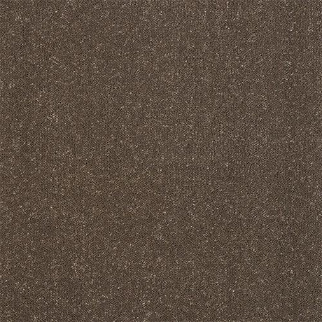 Pure Elegance Pentland Carpet - Pentland / 2.5m