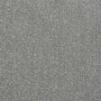 Stainfree Captivation Captivation Frosted Steel Carpet - Captivation Frosted Steel / 2.5m