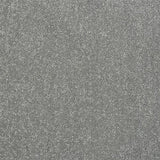 Stainfree Captivation Captivation Frosted Steel Carpet - Captivation Frosted Steel / 2.5m