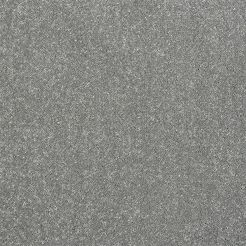 Stainfree Captivation Captivation Frosted Steel Carpet - Captivation Frosted Steel / 2.5m