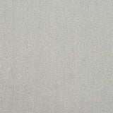 Stainfree Captivation Captivation Tundra Frost Carpet - Captivation Tundra Frost / 2.5m