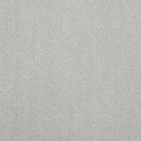 Stainfree Captivation Captivation Tundra Frost Carpet - Captivation Tundra Frost / 2.5m
