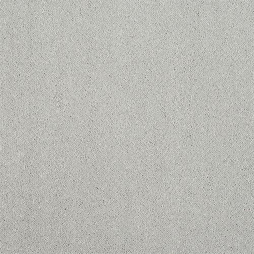 Stainfree Captivation Captivation Tundra Frost Carpet - Captivation Tundra Frost / 2.5m