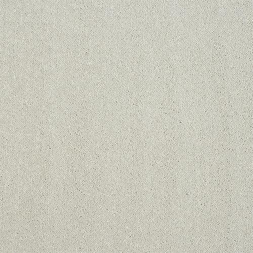 Stainfree Captivation Captivation Jewel Carpet - Captivation Jewel / 2.5m