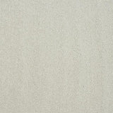 Stainfree Captivation Captivation Jewel Carpet - Captivation Jewel / 2.5m