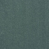 Stainfree Captivation Captivation Treasure Isle Carpet - Captivation Treasure Isle / 2.5m