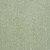 Stainfree Captivation Captivation Putting Green Carpet - Captivation Putting Green / 2.5m