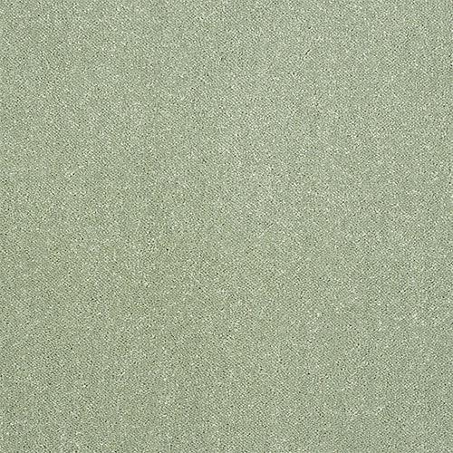 Stainfree Captivation Captivation Putting Green Carpet - Captivation Putting Green / 2.5m