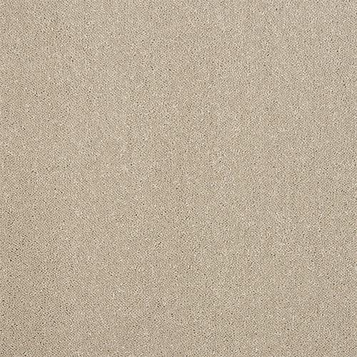 Stainfree Captivation Captivation Moon Cloud Carpet - Captivation Moon Cloud / 2.5m
