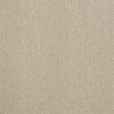 Stainfree Captivation Captivation Moon Cloud Carpet - Captivation Moon Cloud / 2.5m
