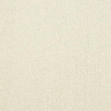 Stainfree Captivation Captivation Cloudy Dreams Carpet - Captivation Cloudy Dreams / 2.5m