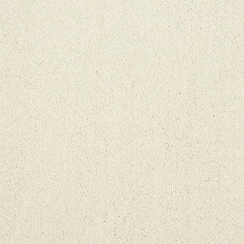 Stainfree Captivation Captivation Cloudy Dreams Carpet - Captivation Cloudy Dreams / 2.5m