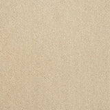 Stainfree Captivation Captivation Linen Wash Carpet - Captivation Linen Wash / 2.5m