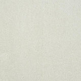 Stainfree Captivation Captivation Nimbus Cloud Carpet - Captivation Nimbus Cloud / 2.5m