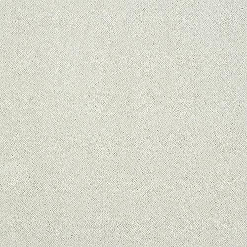 Stainfree Captivation Captivation Nimbus Cloud Carpet - Captivation Nimbus Cloud / 2.5m
