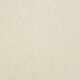Stainfree Captivation Captivation Snowfall Carpet - Captivation Snowfall / 2.5m