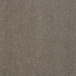 Stainfree Captivation Captivation Seneca Rock Carpet - Captivation Seneca Rock / 2.5m