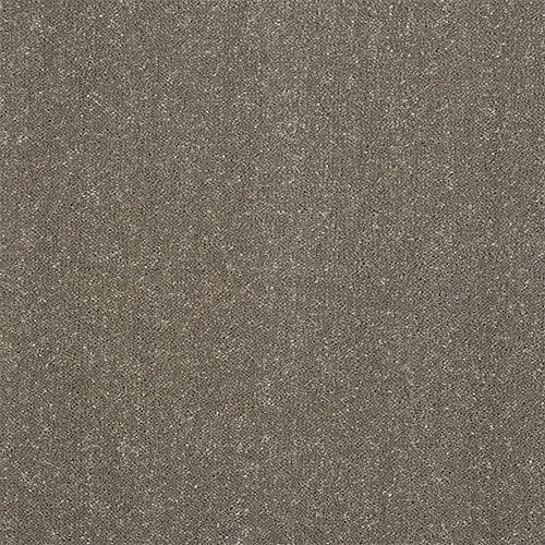 Stainfree Captivation Captivation Seneca Rock Carpet - Captivation Seneca Rock / 2.5m