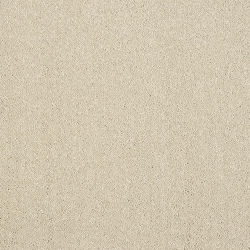 Stainfree Captivation Captivation Turtle Dove Carpet - Captivation Turtle Dove / 2.5m