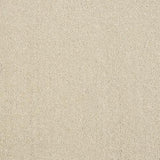 Stainfree Captivation Captivation Turtle Dove Carpet - Captivation Turtle Dove / 2.5m