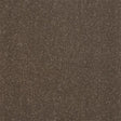 Stainfree Captivation Captivation Pentland Carpet - Captivation Pentland / 2.5m