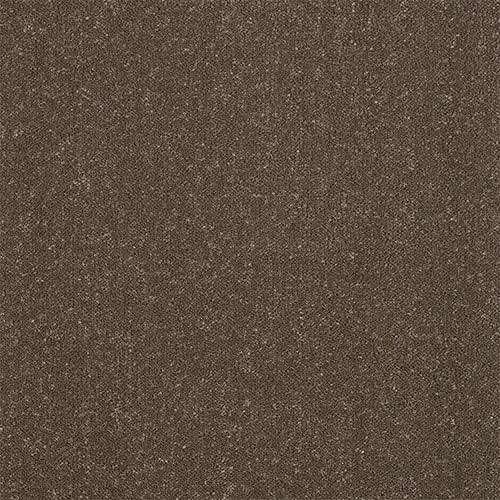 Stainfree Captivation Captivation Pentland Carpet - Captivation Pentland / 2.5m