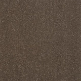 Stainfree Captivation Captivation Pentland Carpet - Captivation Pentland / 2.5m