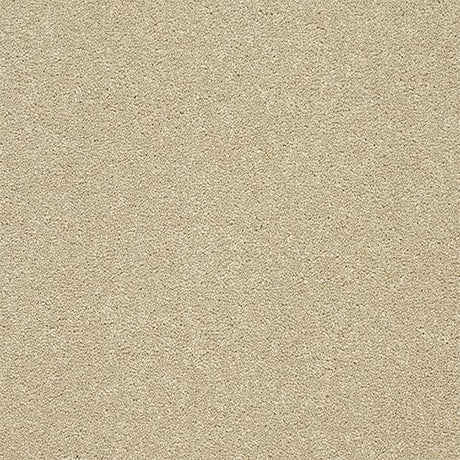 Twist Timeless Carpet - Timeless / 2.5m