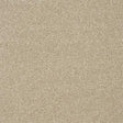 Twist Dark Ecru Carpet - Dark Ecru / 2.5m