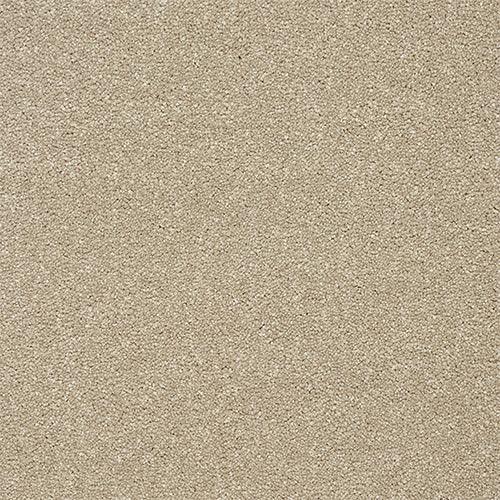 Twist Dark Ecru Carpet - Dark Ecru / 2.5m