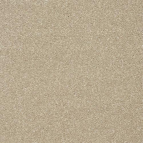 Twist Dark Ecru Carpet - Dark Ecru / 2.5m