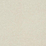 Twist Stone White Carpet - Stone White / 2.5m