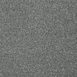 Twist Fossil Carpet - Fossil / 2.5m