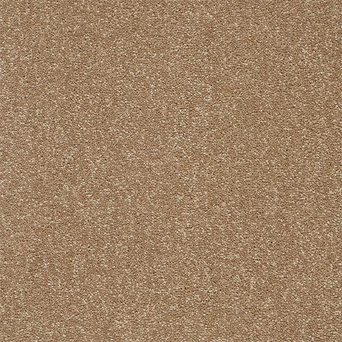 Twist Mocha Carpet - Mocha / 2.5m