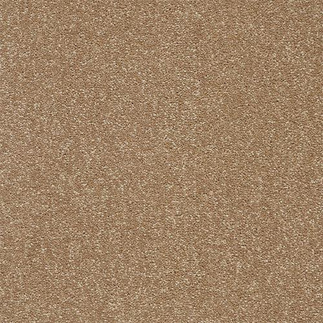 Twist Mocha Carpet - Mocha / 2.5m