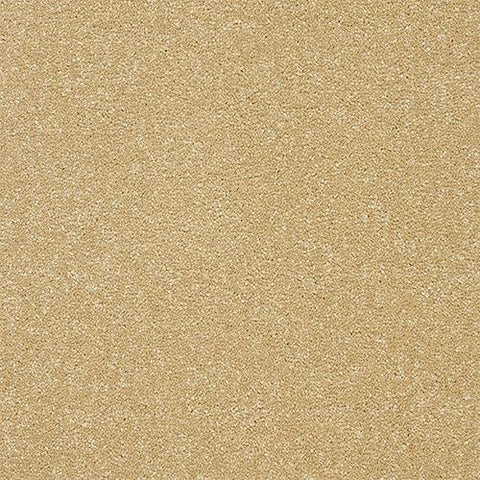 Twist Honey Gold Carpet - Honey Gold / 2.5m